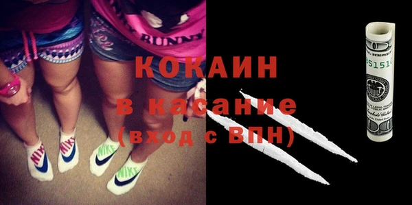 МДПВ Каменка