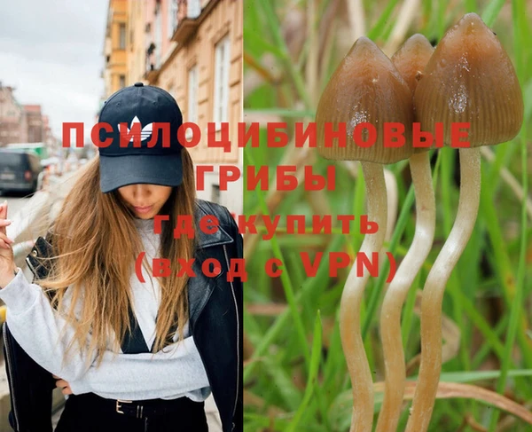 эйфоретик Каменск-Шахтинский