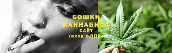 МДПВ Каменка