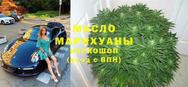 МДПВ Каменка