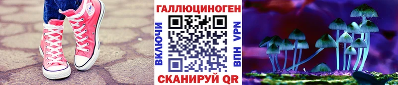 Псилоцибиновые грибы Magic Shrooms  mega зеркало  Куртамыш 